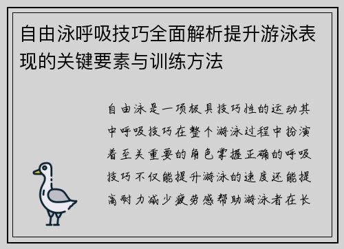 自由泳呼吸技巧全面解析提升游泳表现的关键要素与训练方法