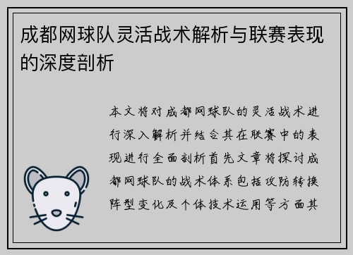 成都网球队灵活战术解析与联赛表现的深度剖析
